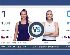 雷速体育-从里程碑夜孟菲斯灰熊回应争议到科维托娃关键节点爆冷，今夜夏洛特黄蜂单刀错失的简单介绍